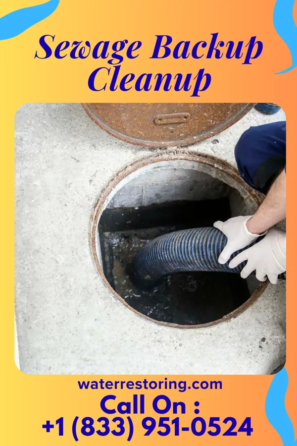 Sewage Backup Cleanup in Inkster, ND
